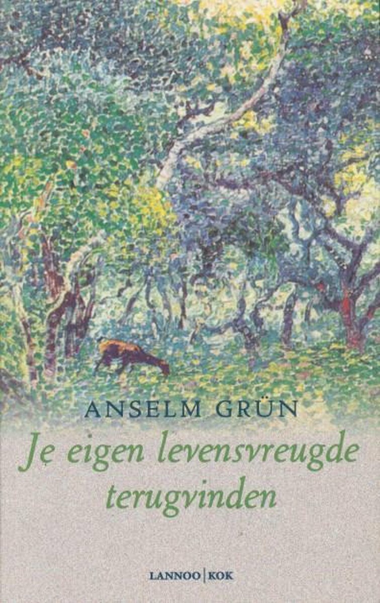 Je eigen levensvreugde terugvinden - Anselm Grün - 9789043500326