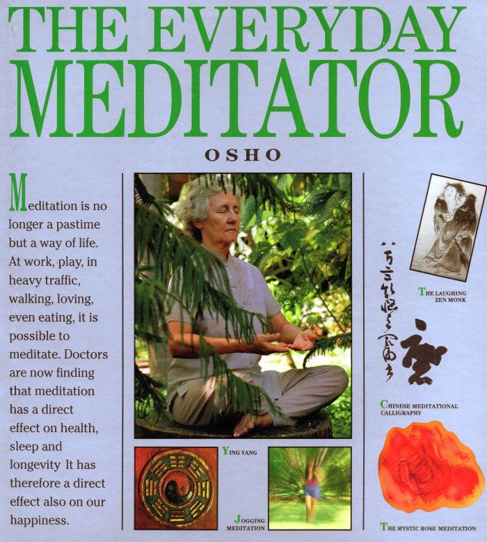 The Everyday Meditator