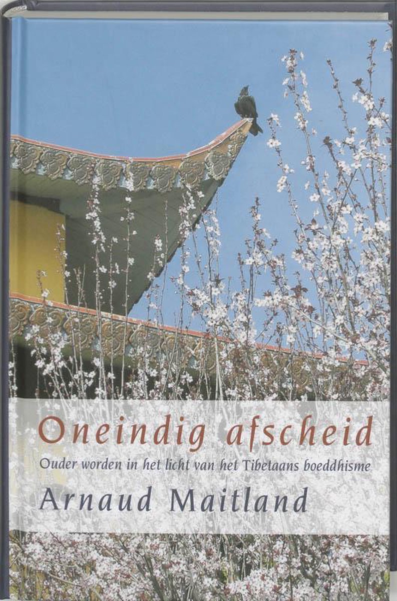 Oneindig afscheid - Arnaud Maitland - 9789069636221