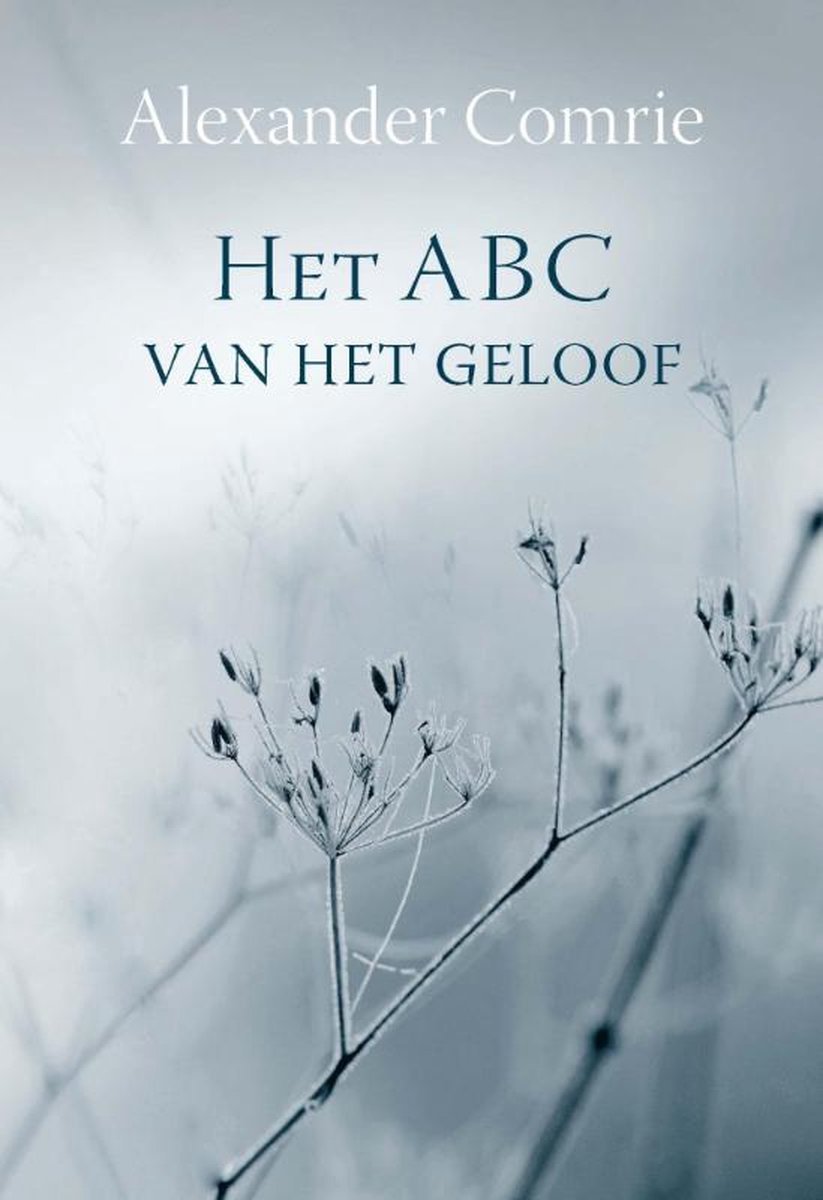 Het ABC van het geloof - Alexander Comrie - 9789462781689