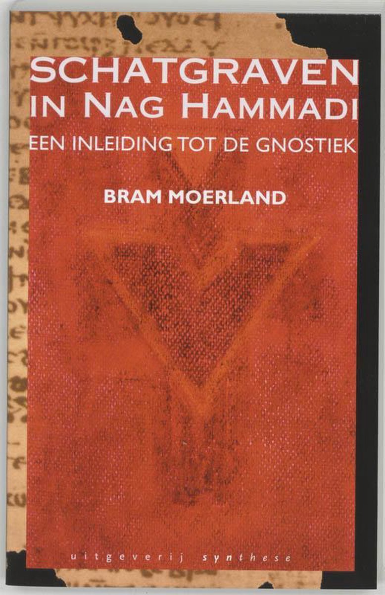 Schatgraven in Nag Hammadi - Bram Moerland - 9789062719228