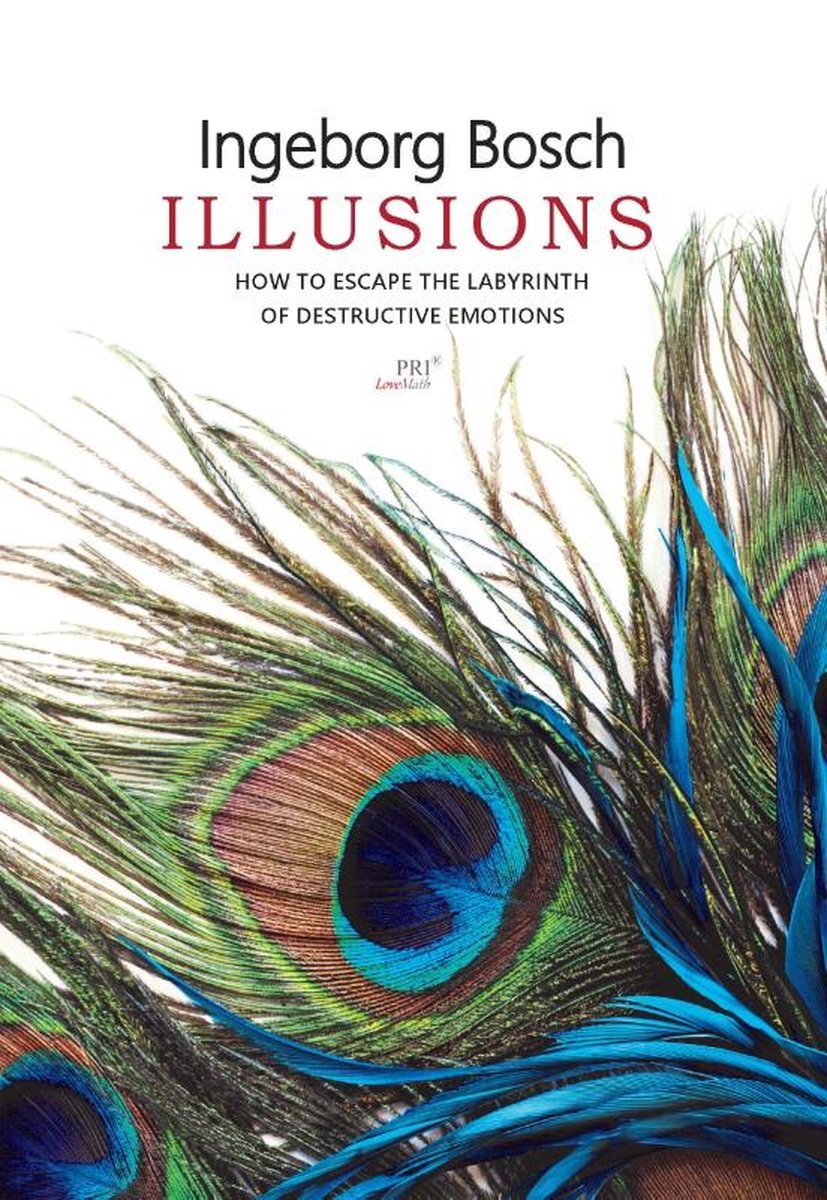 Illusions - Ingeborg Bosch - 9789080704923