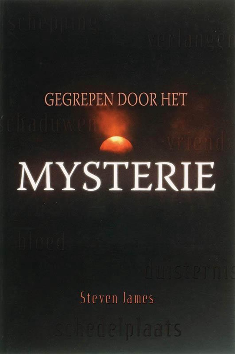 Gegrepen door het mysterie - Steven James - 9789033818424