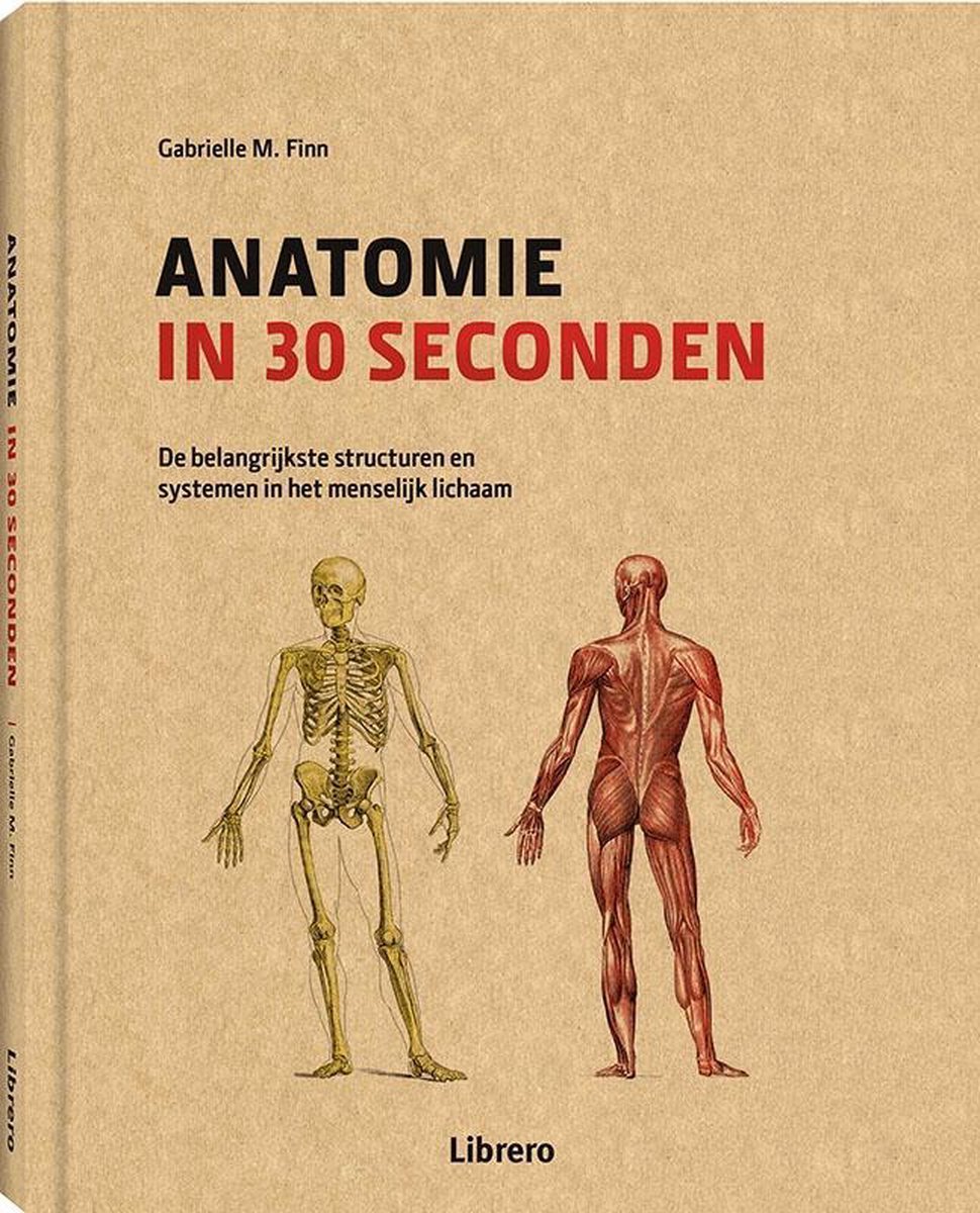 Anatomie in 30 seconden - Gabrielle M. Finn - 9789089987709