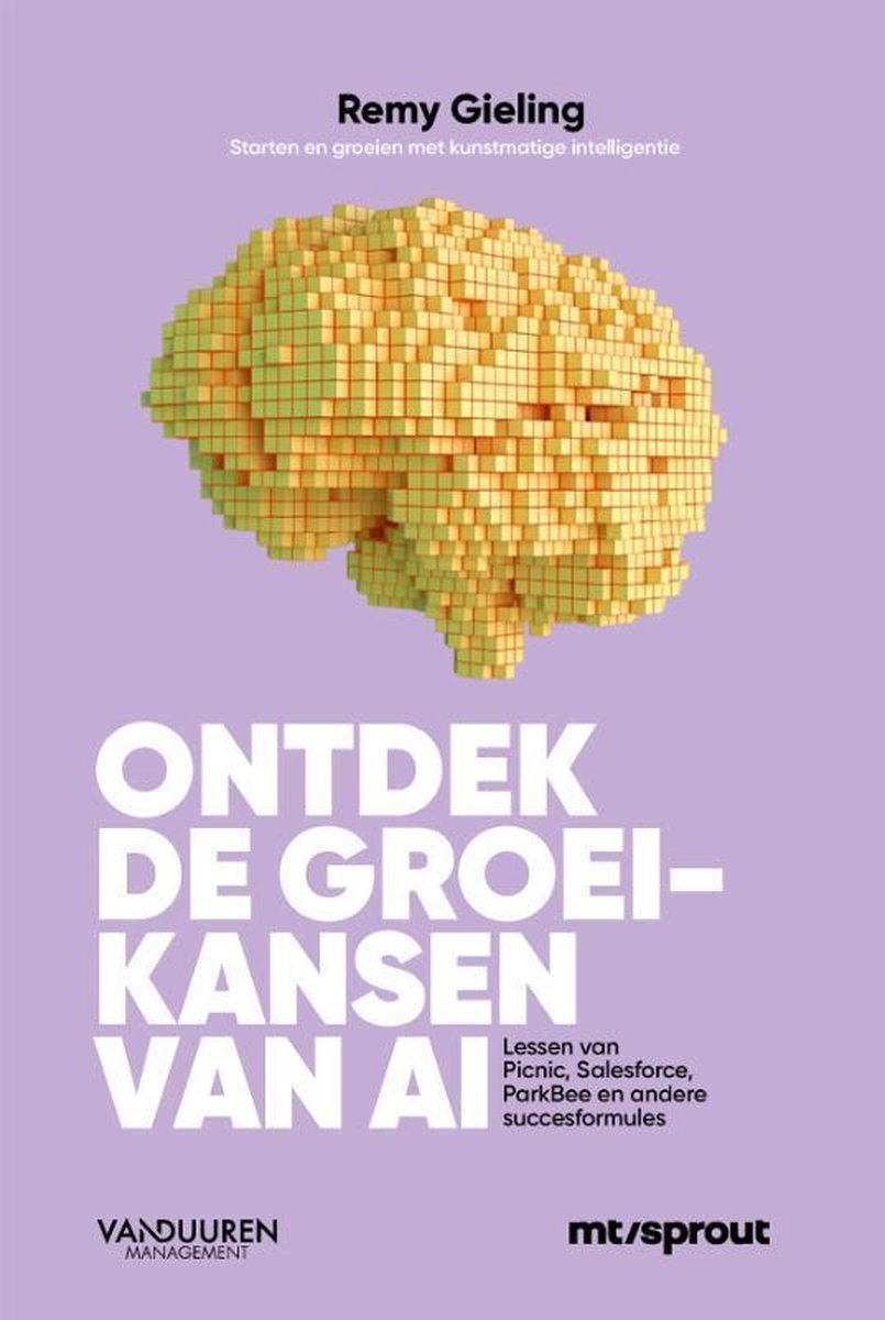 Ontdek de groeikansen van AI - Remy Gieling - 9789089655097