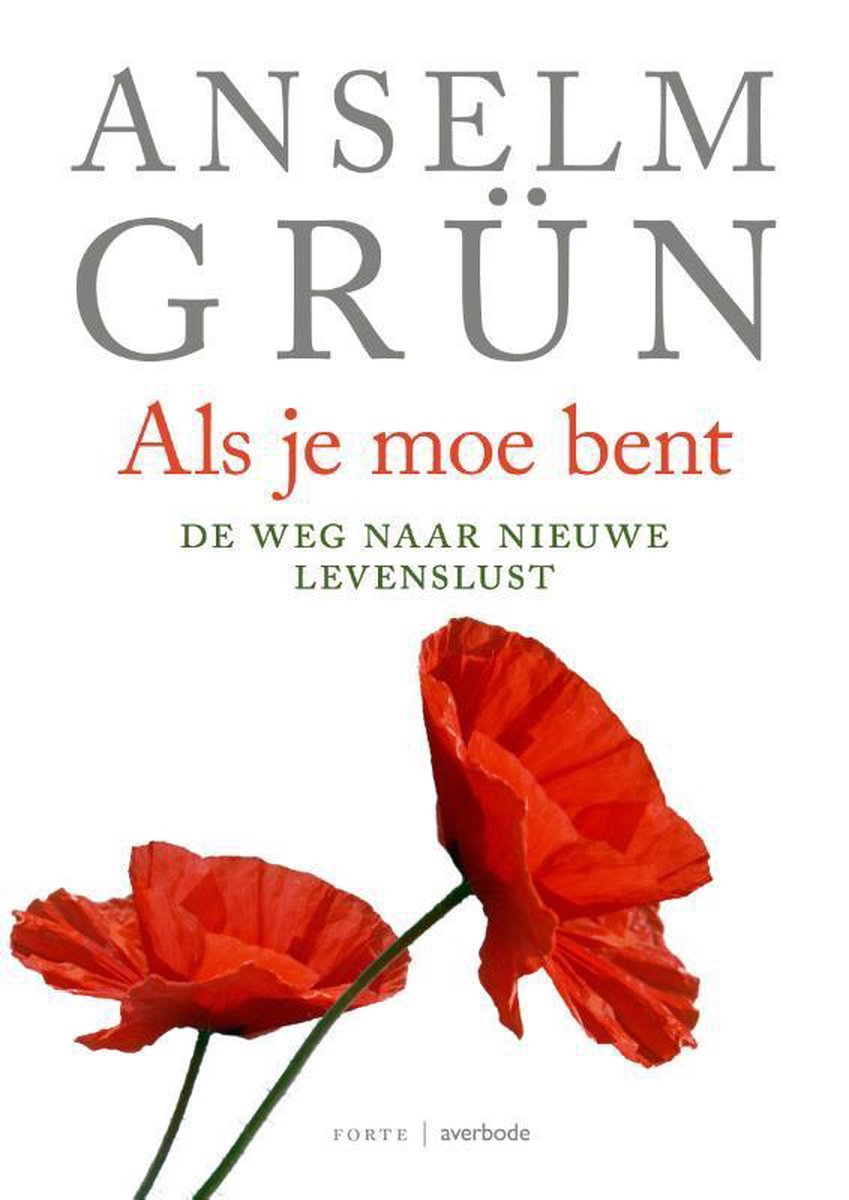 Als je moe bent - Anselm Grün - 9789079956203
