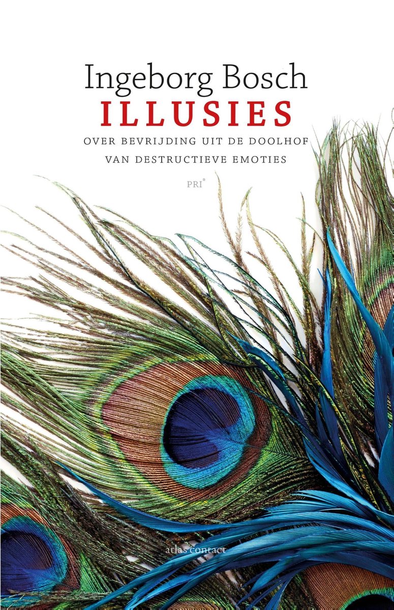 Illusies - Ingeborg Bosch - 9789045029825