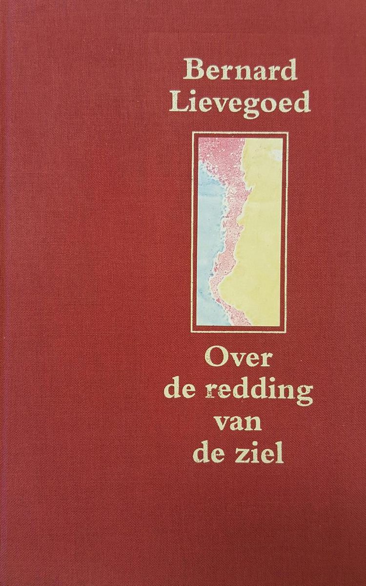 Over de redding van de ziel - Bernard Lievegoed - 9789060383476