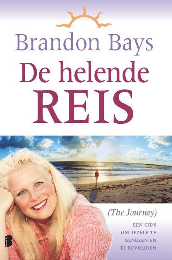 De helende reis - Brandon Bays - 9789022555835