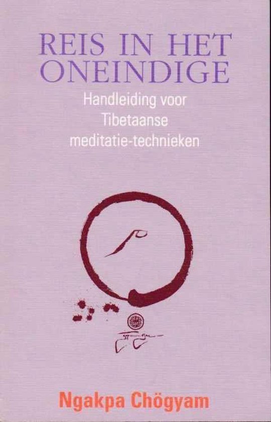 Reis in het oneindige - Ngakpa Chögyam - 9789062718016