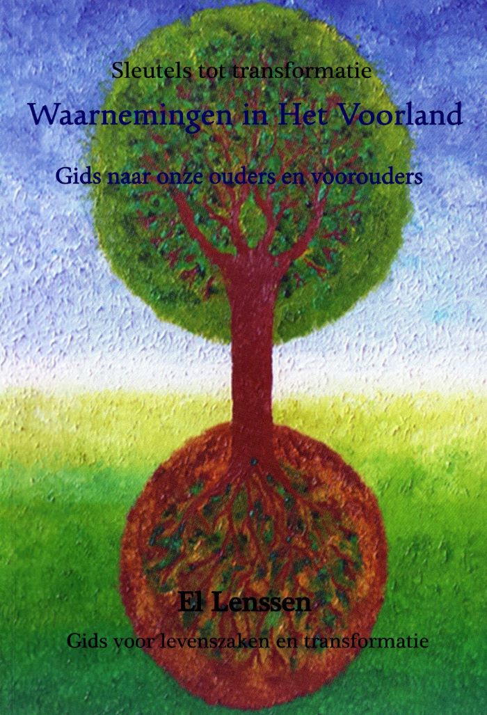 Waarnemingen in Het Voorland