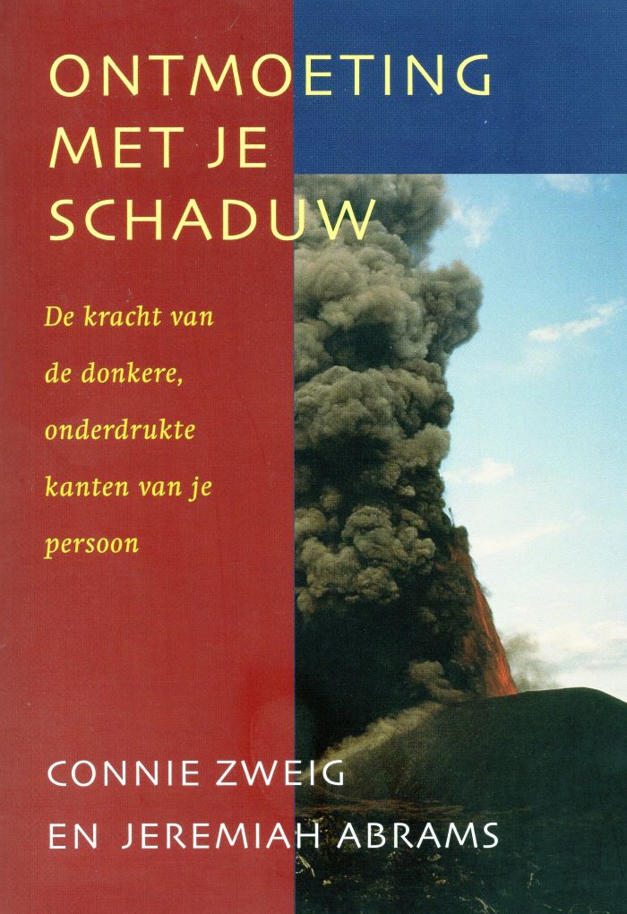 Ontmoeting met je schaduw