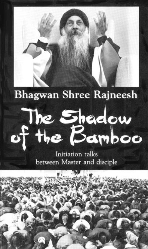 Shadow of the Bamboo