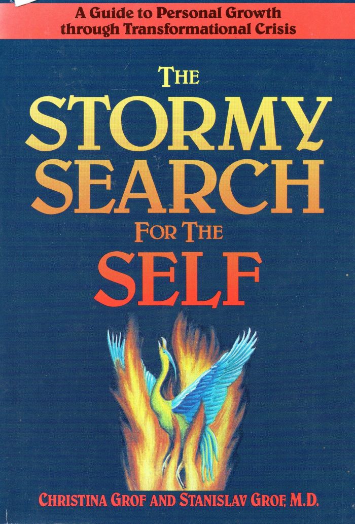 The Stormy Search for the Self