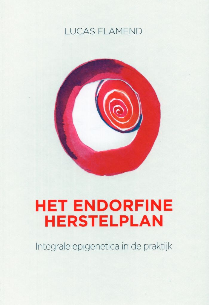 Het endorfine herstelplan