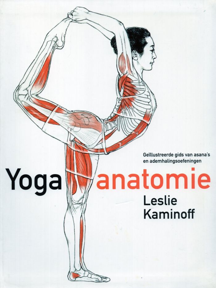Yoga-anatomie