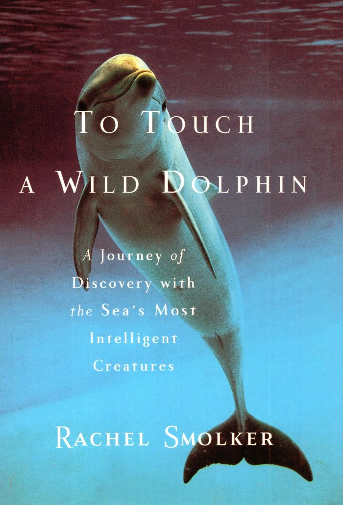 To Touch a Wild Dolphin